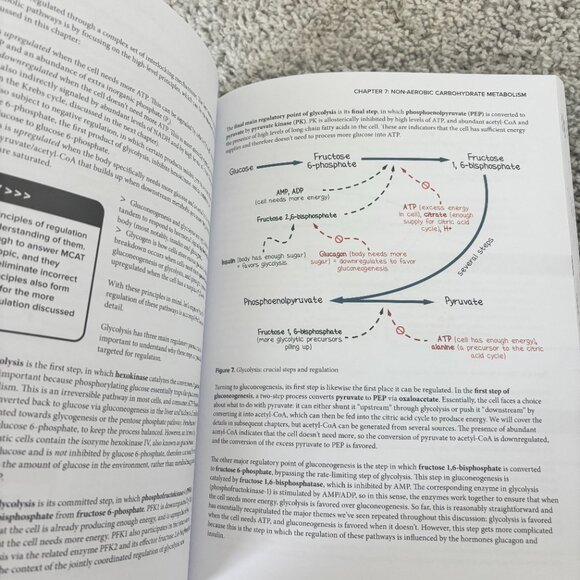 Blueprint MCAT Books - Picture 3 of 4